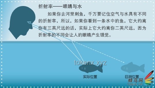 探究早到现象：50岁同事6-7点上班的心态剖析
