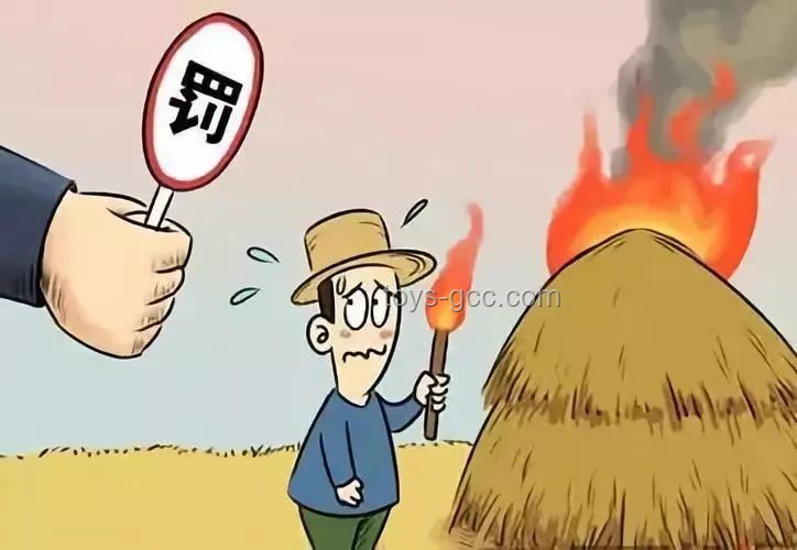 禁酒措施对比：严厉执法与温和引导，何必大费周章？
